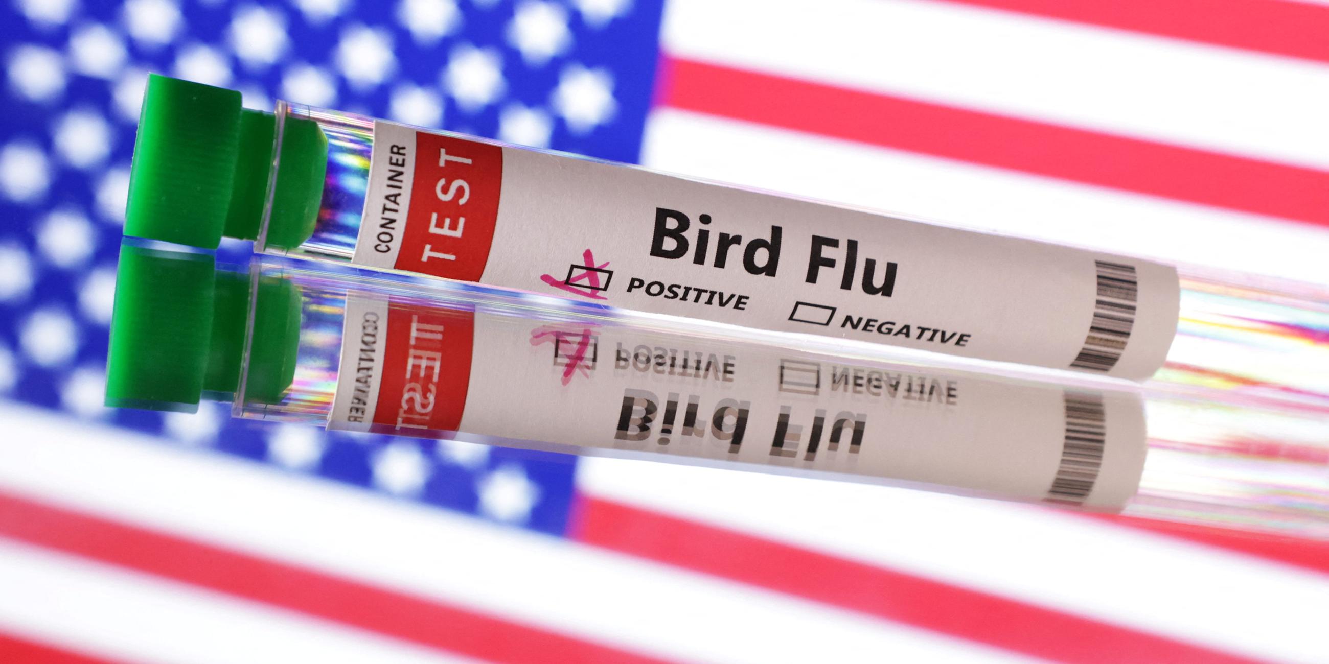 Illustration: In dieser Abbildung vom 10. Juni 2024 sind Reagenzgläser mit der Aufschrift „Vogelgrippe“ vor der US-Flagge zu sehen.