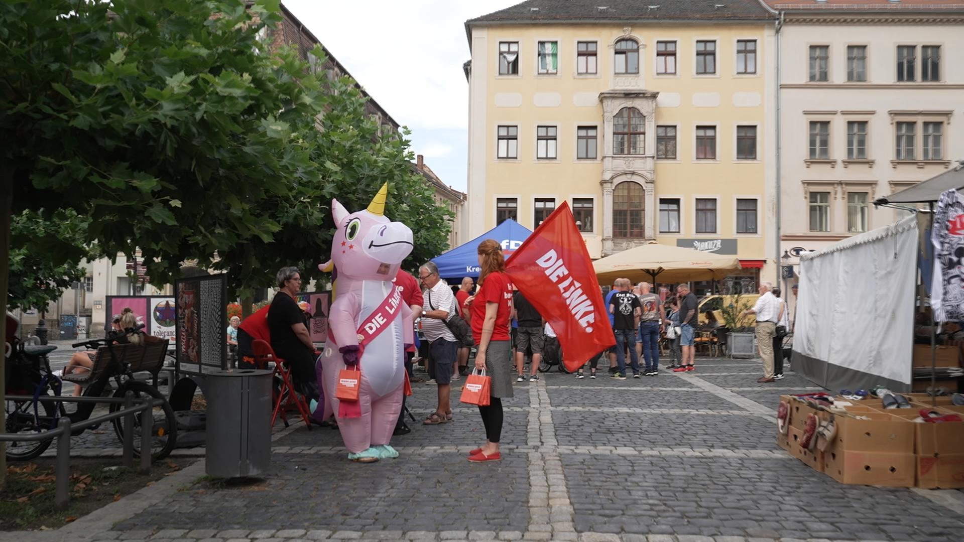 Wahlkampf im Einhornkostüm und Wahlkämpferin mit Parteifahne