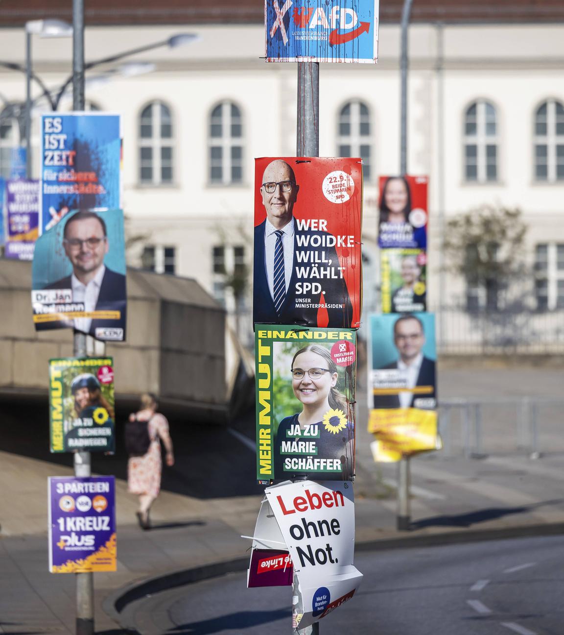 Wahlplakate der SPD, der Grünen und der AfD hängen in Potsdam