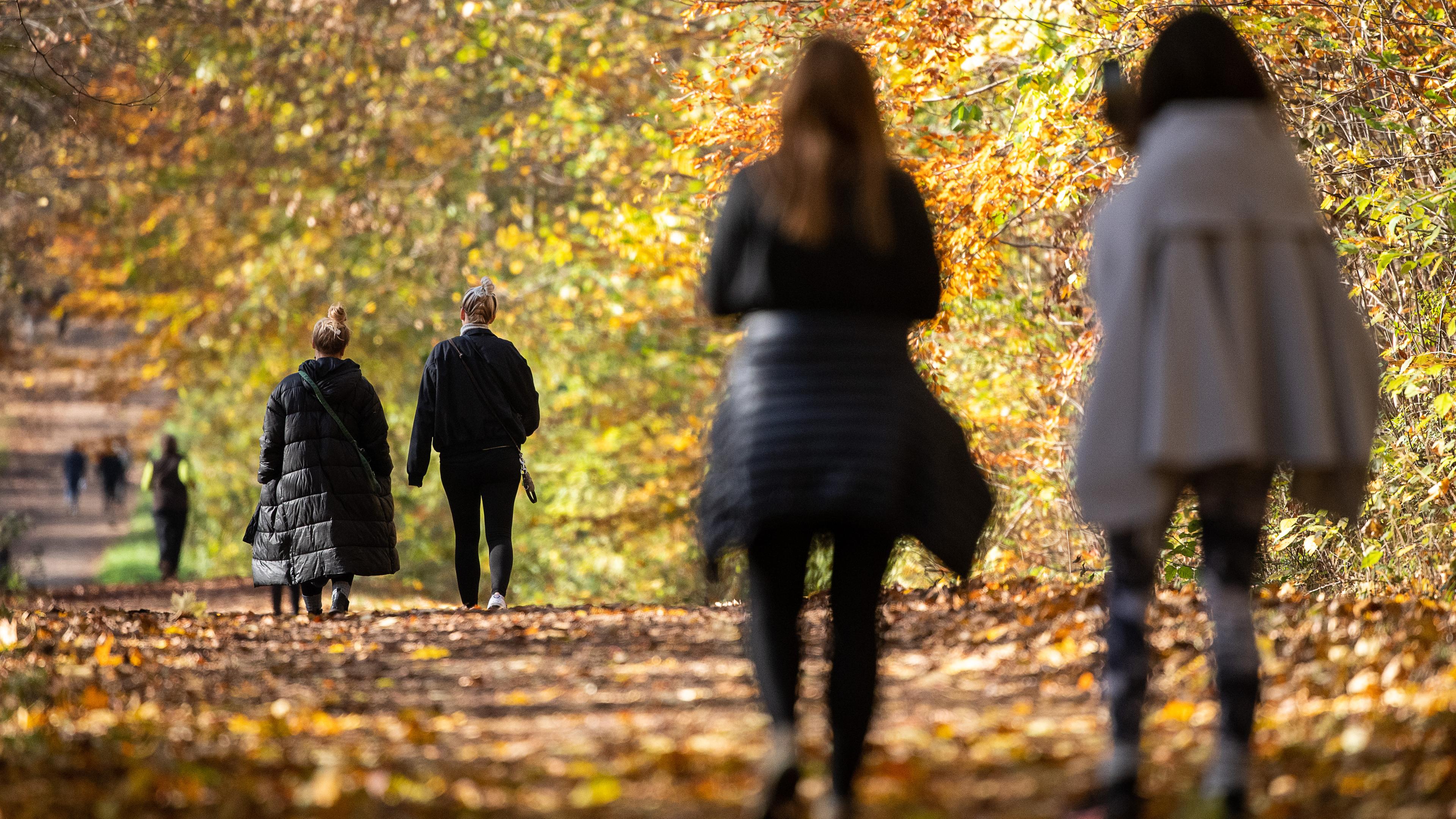 Spaziergänger gehen in Zweiergruppen und mit Abstand bei Sonnenschein durch einen herbstlichen Wald.