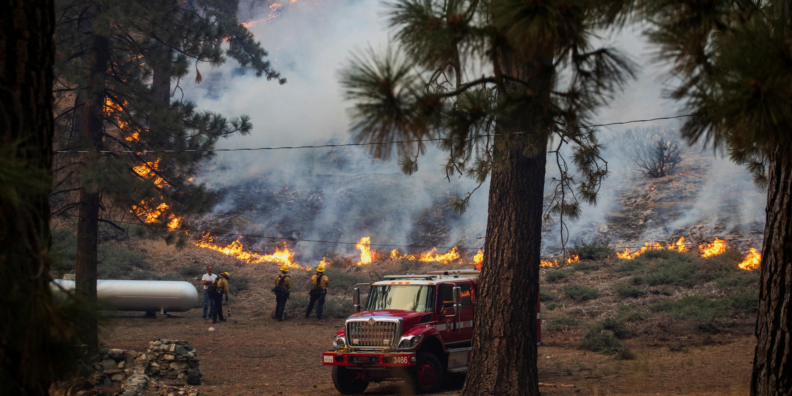 Waldbrände in Wrightwood (Kalifornien), aufgenommen am 12.09.2024