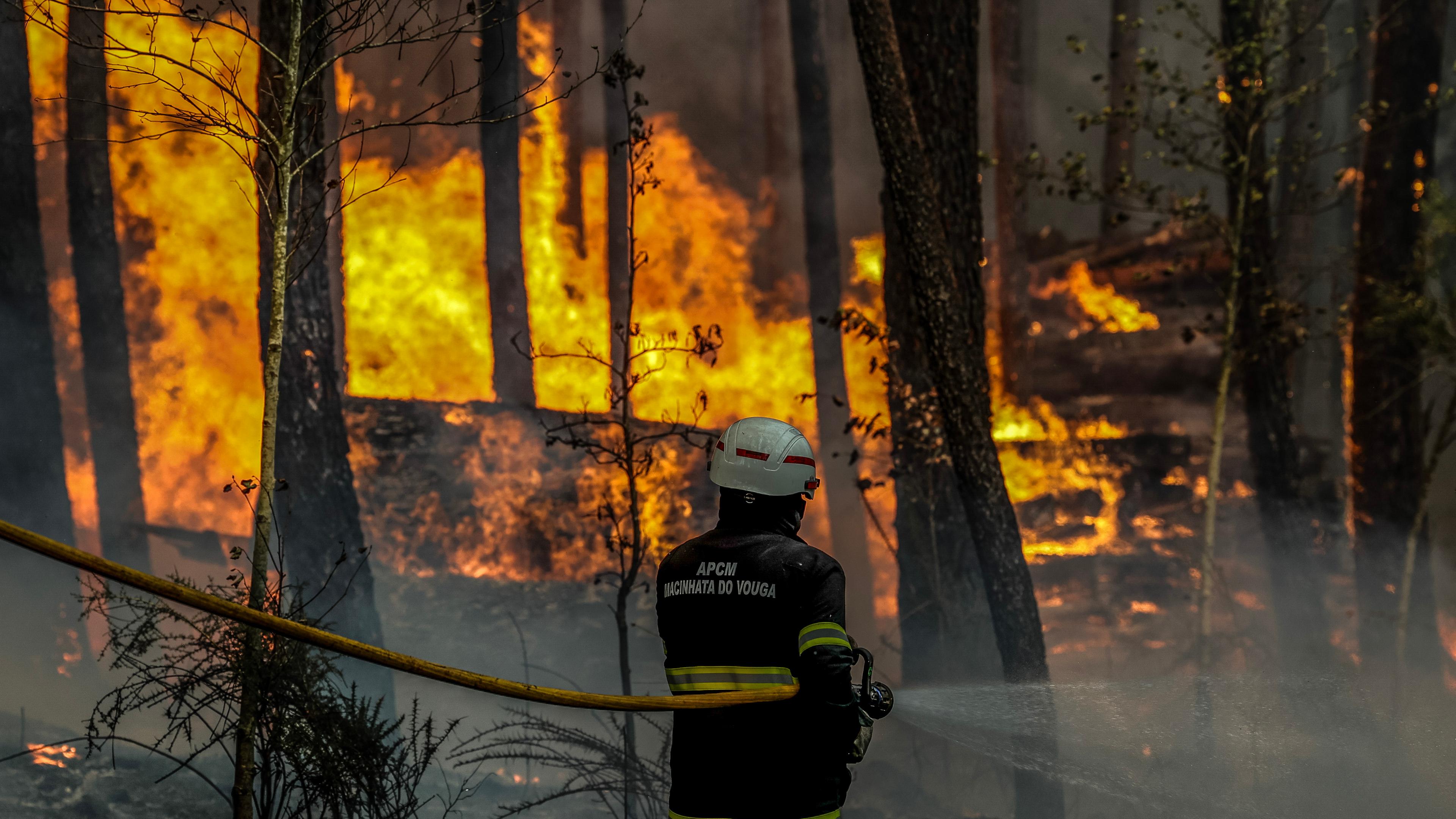 Ein Feuerwehrmann im Einsatz, als in Soutelo, Albergaria-a-Velha, Portugal, am 16. September 2024 ein Waldbrand brennt.