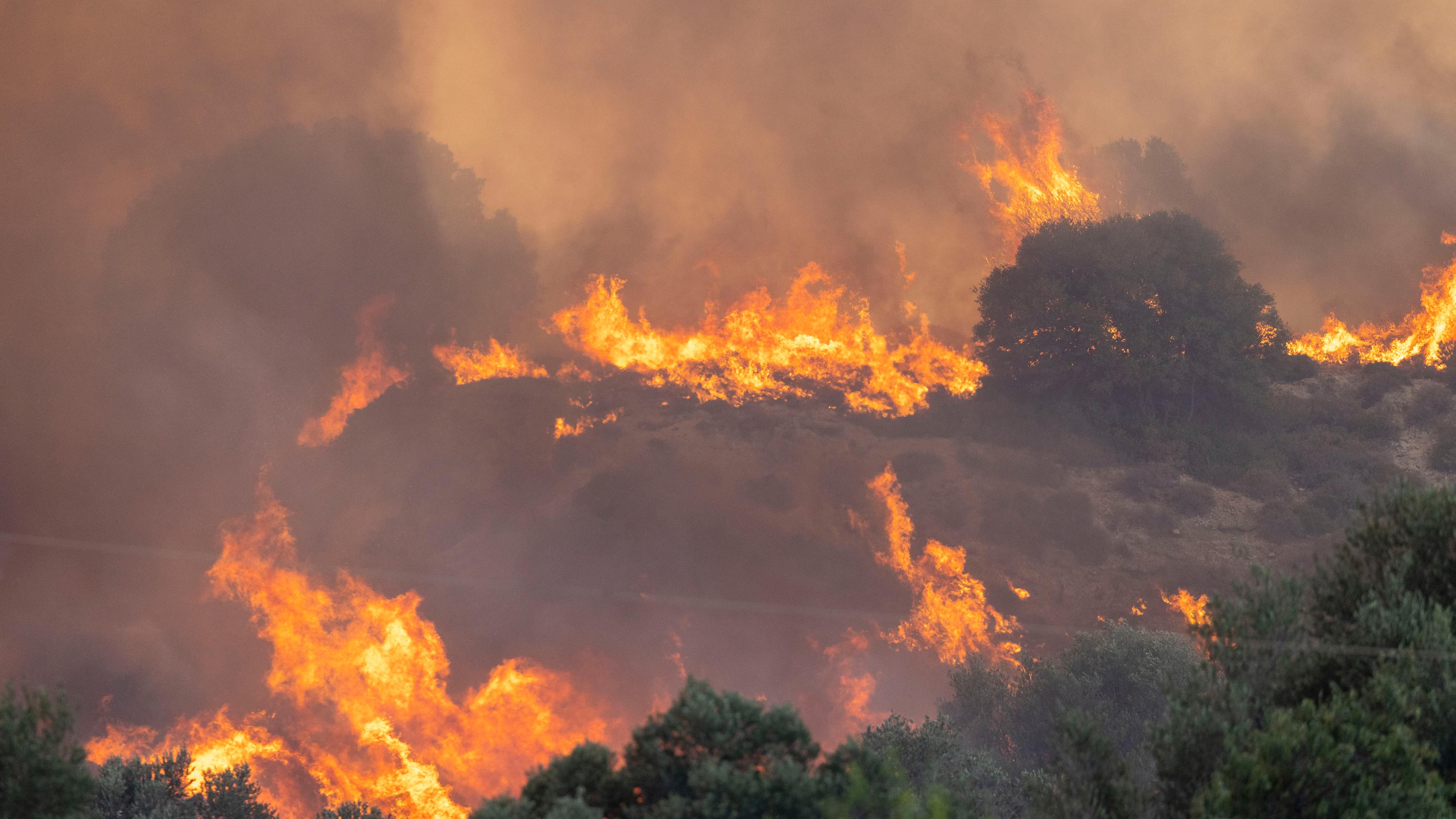 Ein Feuer breitet sich im Wald aus.