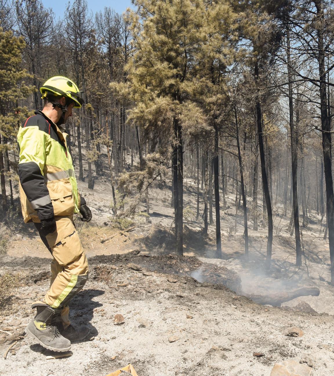 Ein Feuerwehrmann steht vor einem gelöschten, noch rauchendem Waldstück in der spanischen Region Aragón.