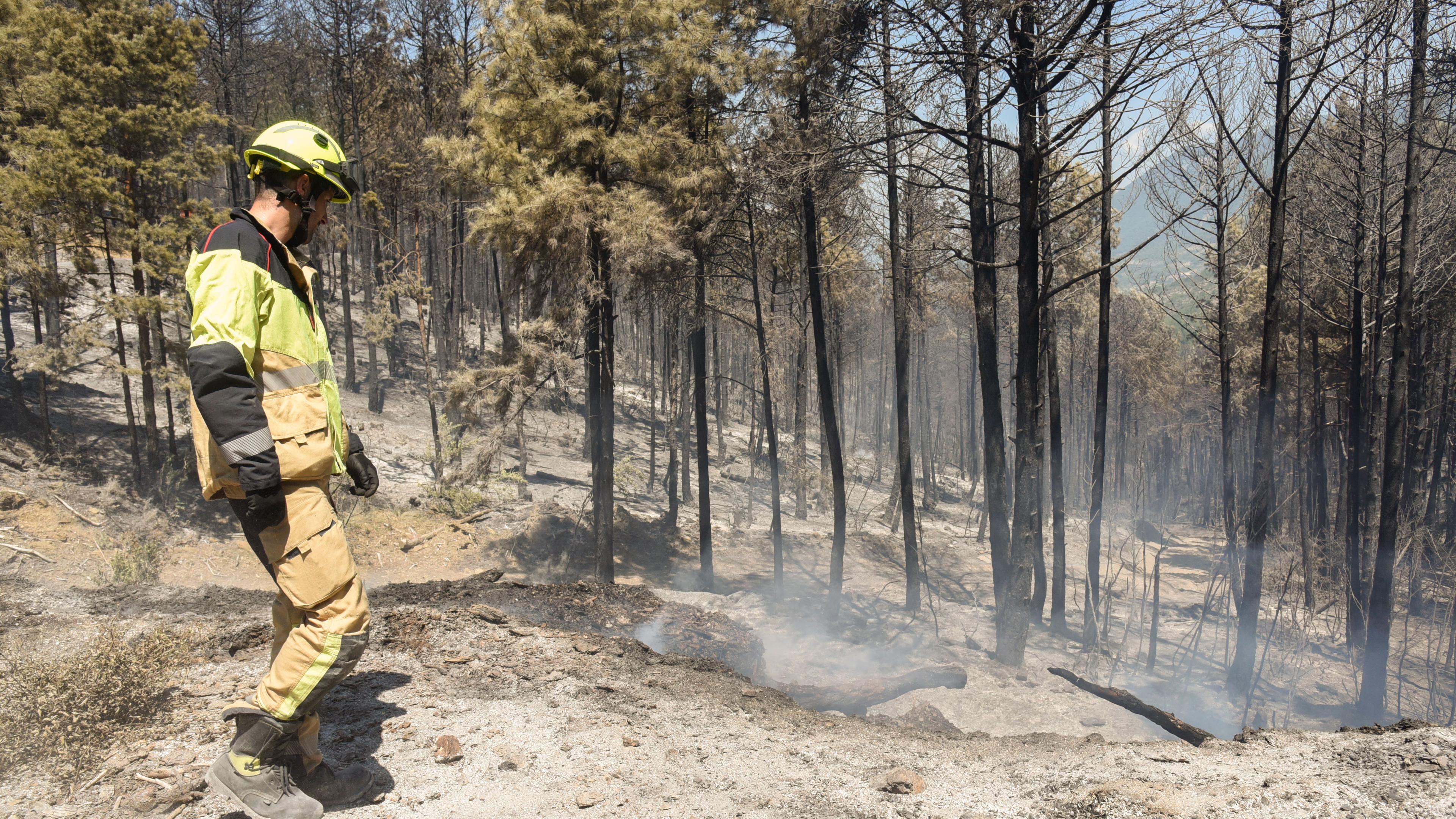 Ein Feuerwehrmann steht vor einem gelöschten, noch rauchendem Waldstück in der spanischen Region Aragón.