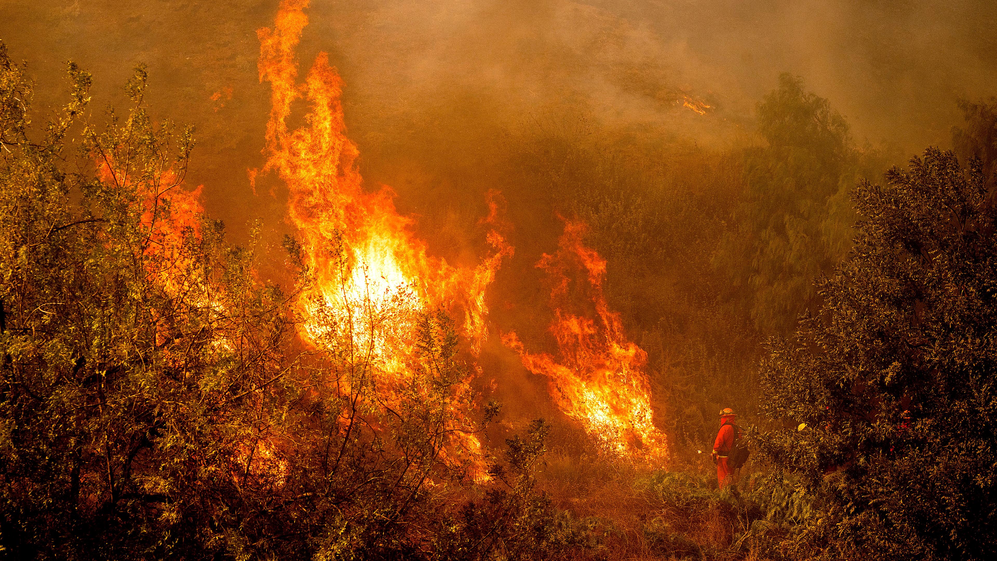 Waldbrand in Kalifornien 