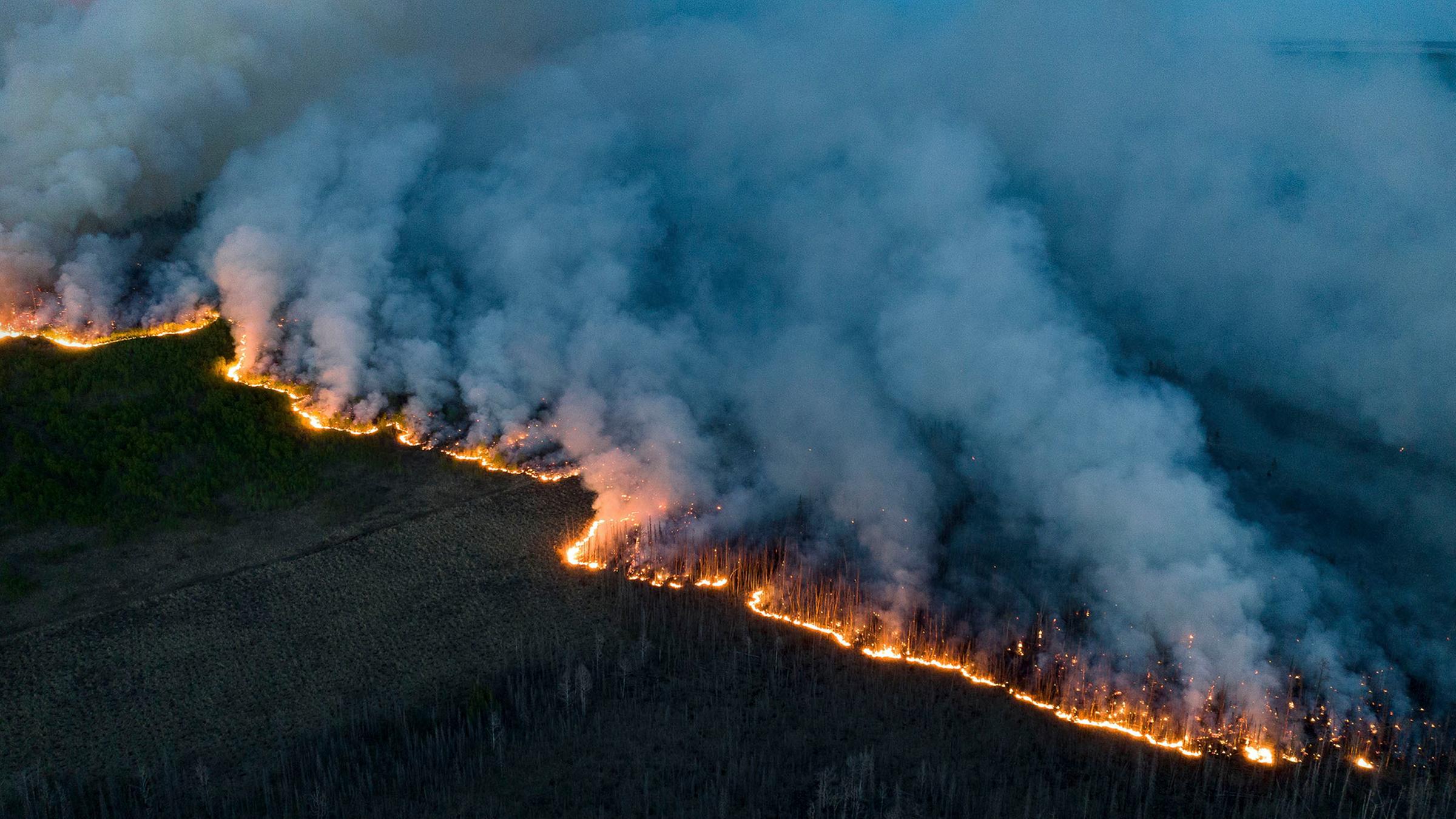 Waldbrände in Kanada Weitere Stadt wird evakuiert ZDFheute