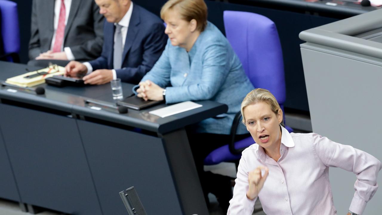 Generaldebatte im Bundestag: Weidel: "Absurde ...