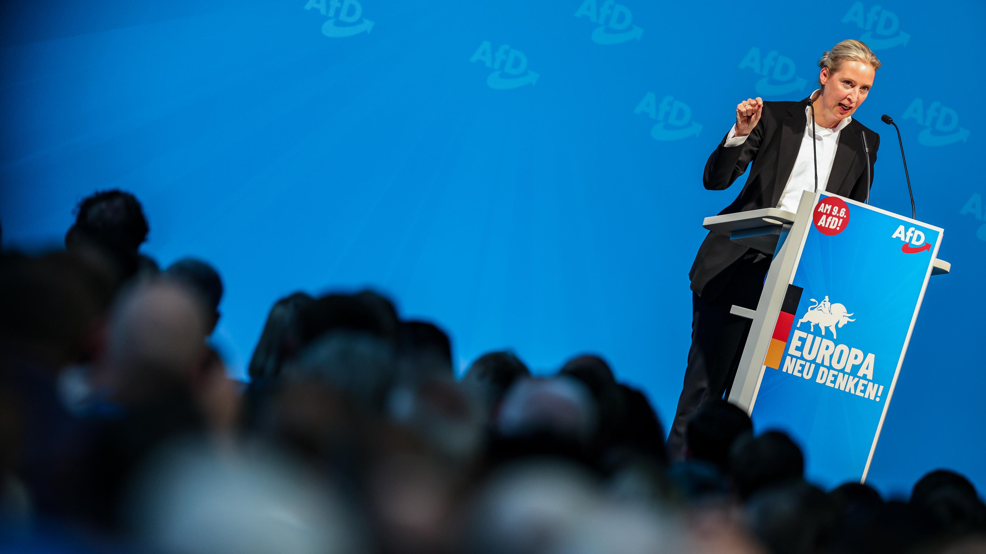 AfD-Parteivorsitzende Alice Weidel bei einem Wahlkampfauftritt in Nordrhein-Westfalen am Samstag.