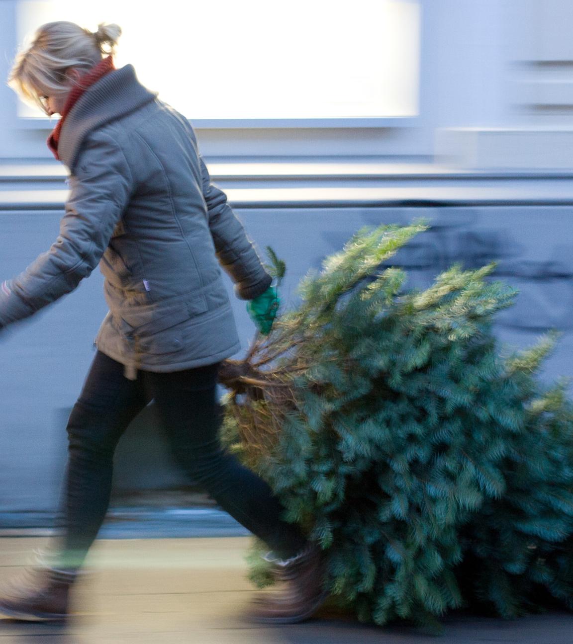 Frau bringt Weihnachtsbaum auf die Straße.