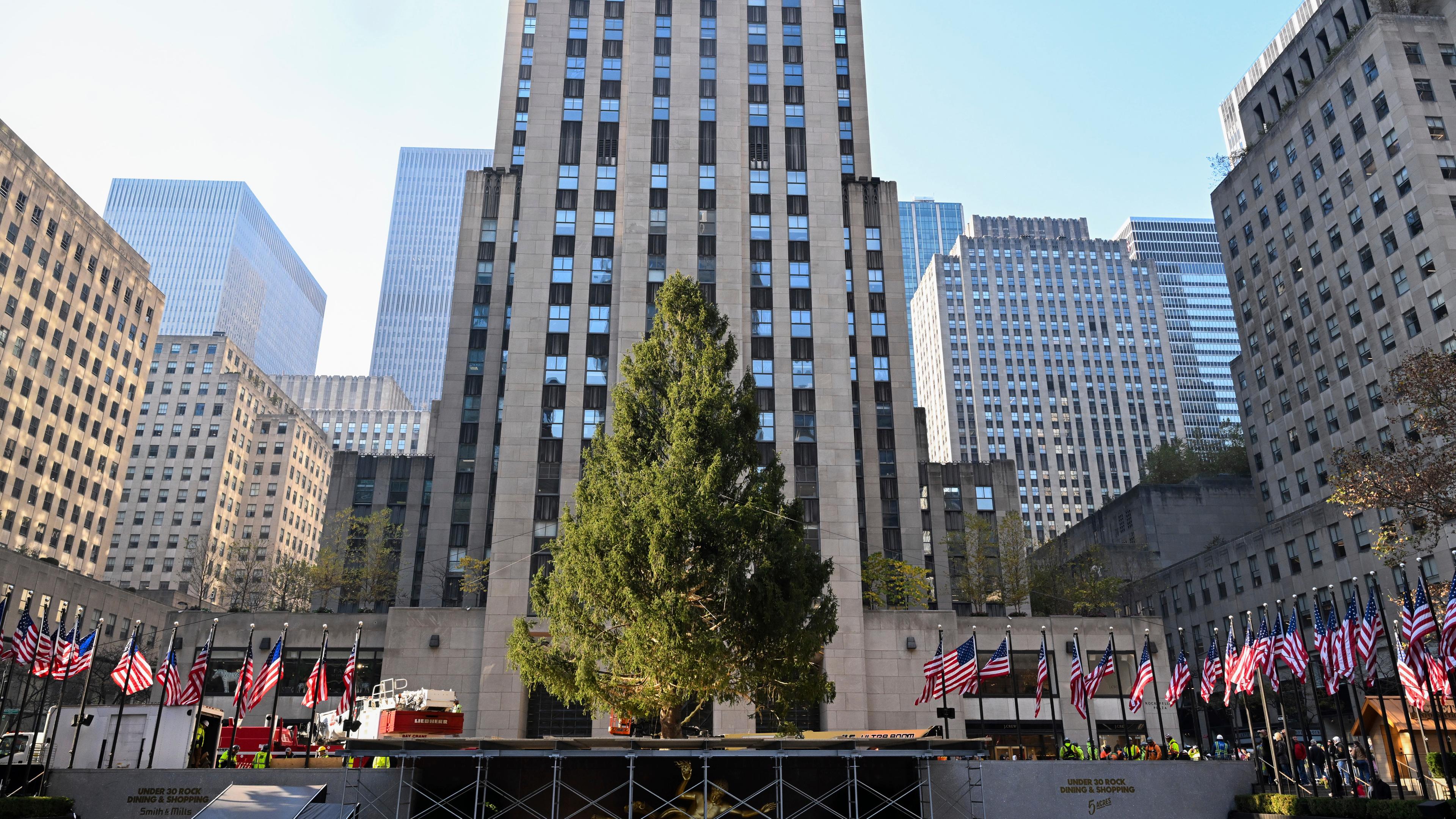 Der Weihnachtsbaum vor dem Rockefeller Center in New York steht.