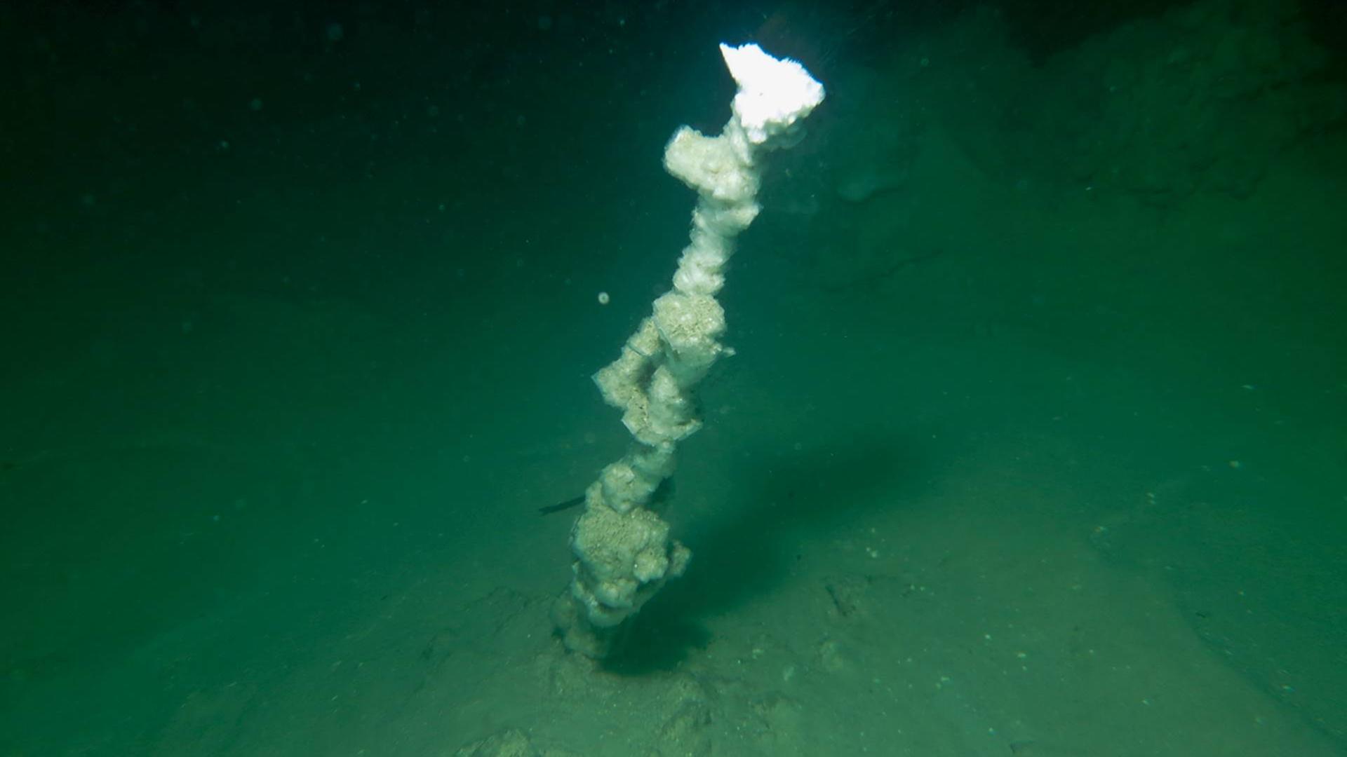 Israel, Totes Meer: Ein einzelner submariner Schlot liegt in etwa 30 m Wassertiefe im Toten Meer.