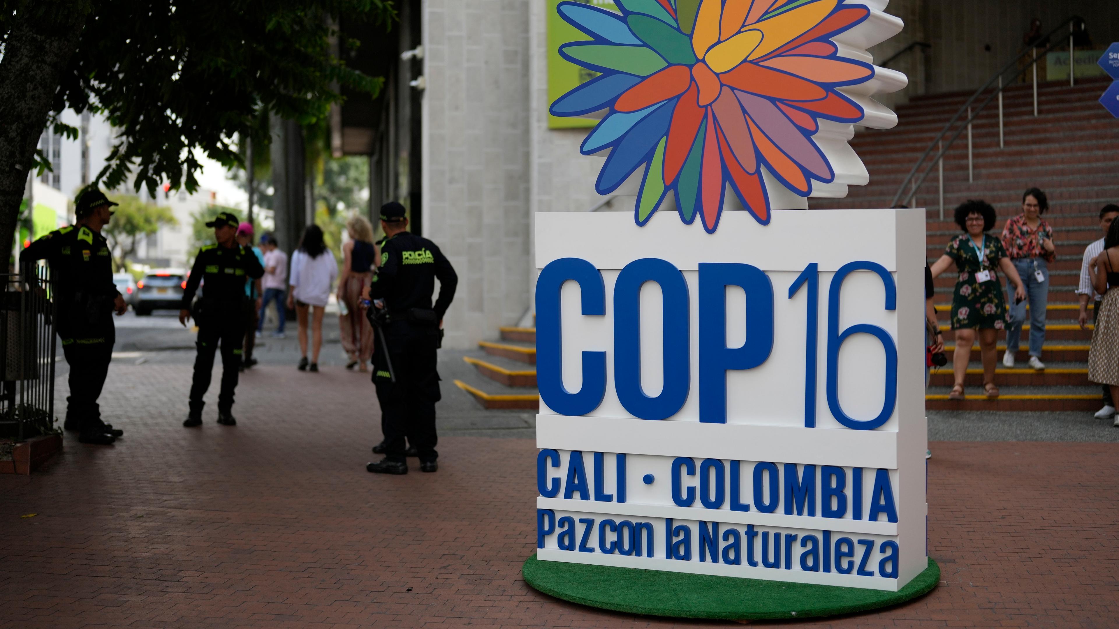 Die Polizei steht einem Tag vor der COP16 Weltnaturkonferenz in Cali, Kolumbien Wache.