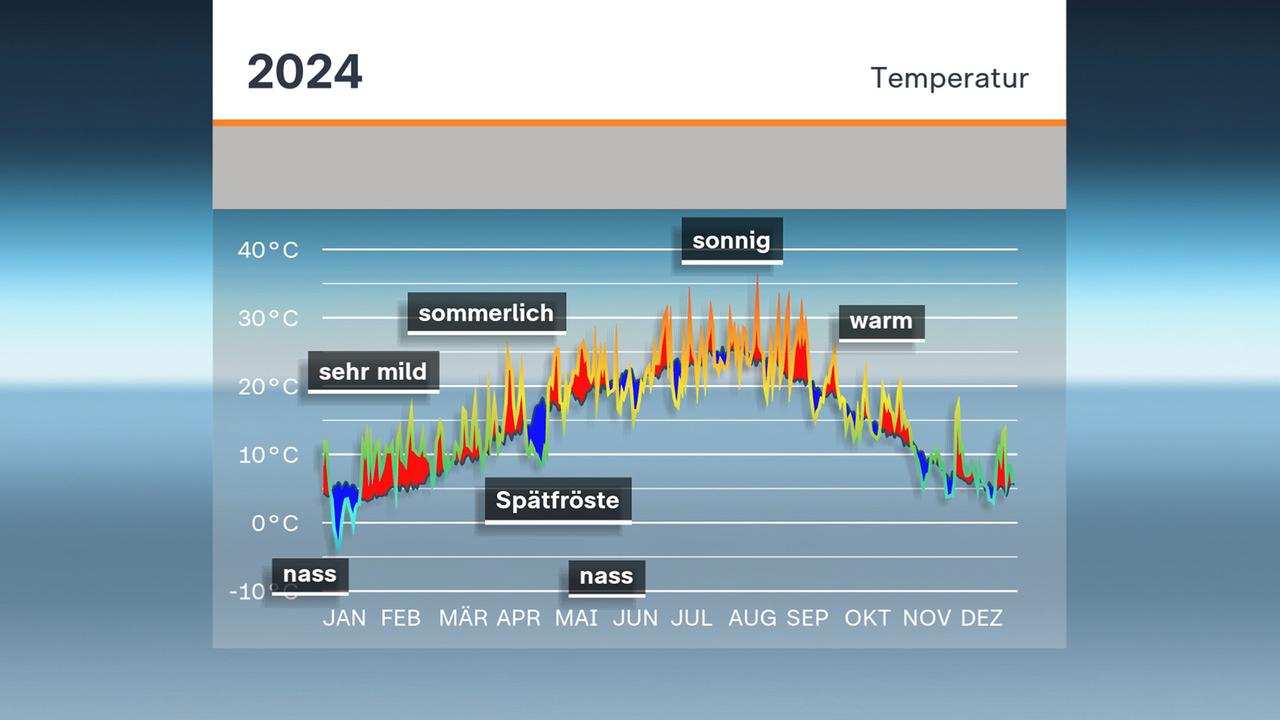 Wetterbilanz: Temperaturen 2024