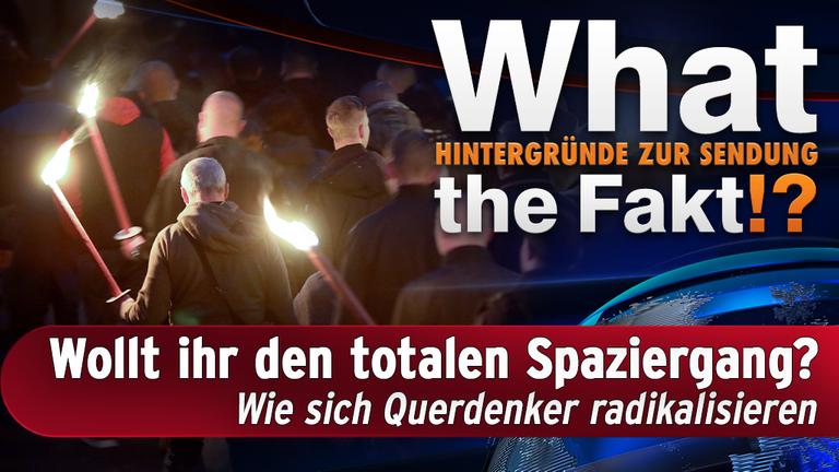 Die Radikalisierung Der Querdenker - ZDFmediathek