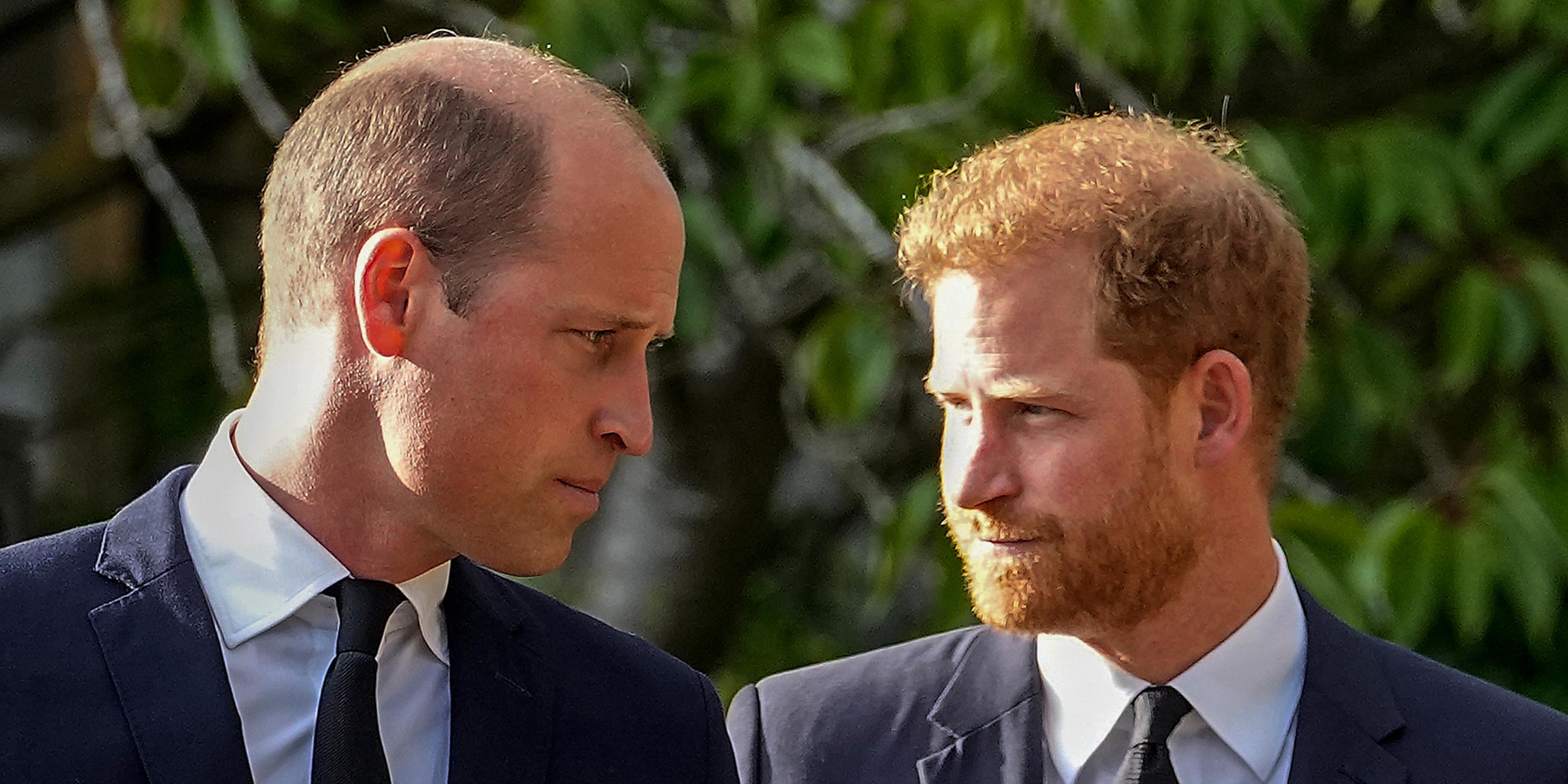 Harry und William schauen sich mit gerunzelten Stirnen in die Augen.