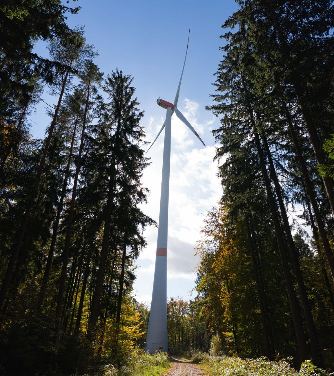 Bayern, Augsberg: Die Sonne lässt das verfärbte Herbstlaub rund um ein Windrad aufleuchten.