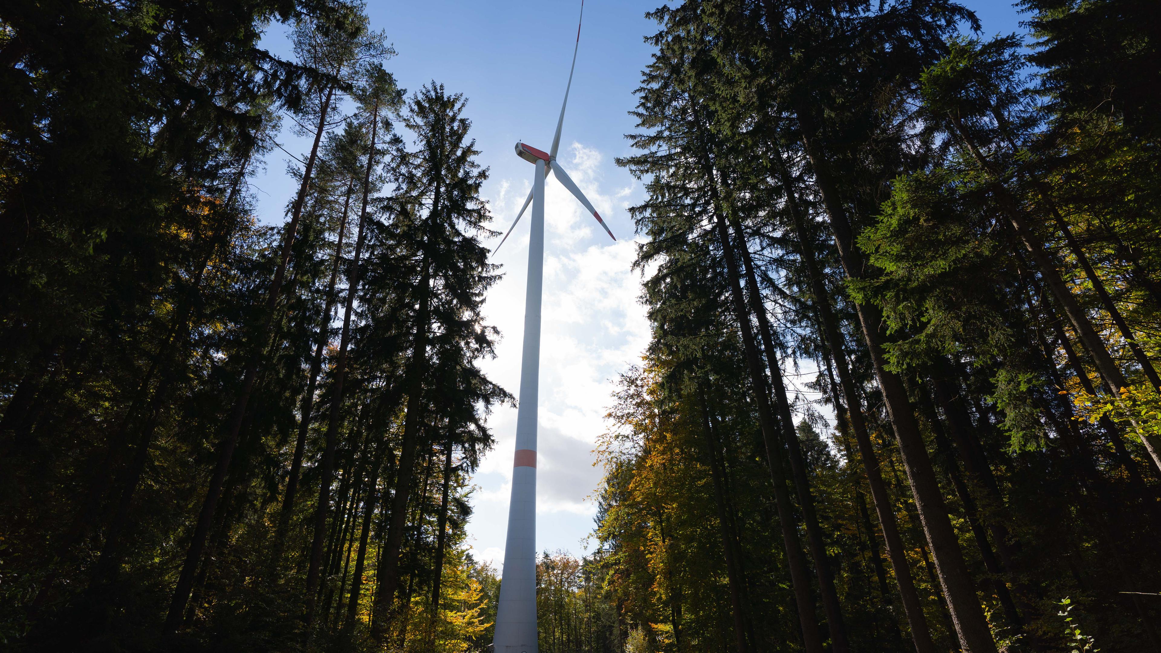 Bayern, Augsberg: Die Sonne lässt das verfärbte Herbstlaub rund um ein Windrad aufleuchten.