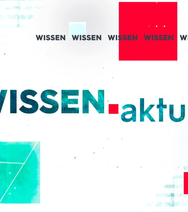 Wissen Aktuell Teaser ohne Logo2400x1350