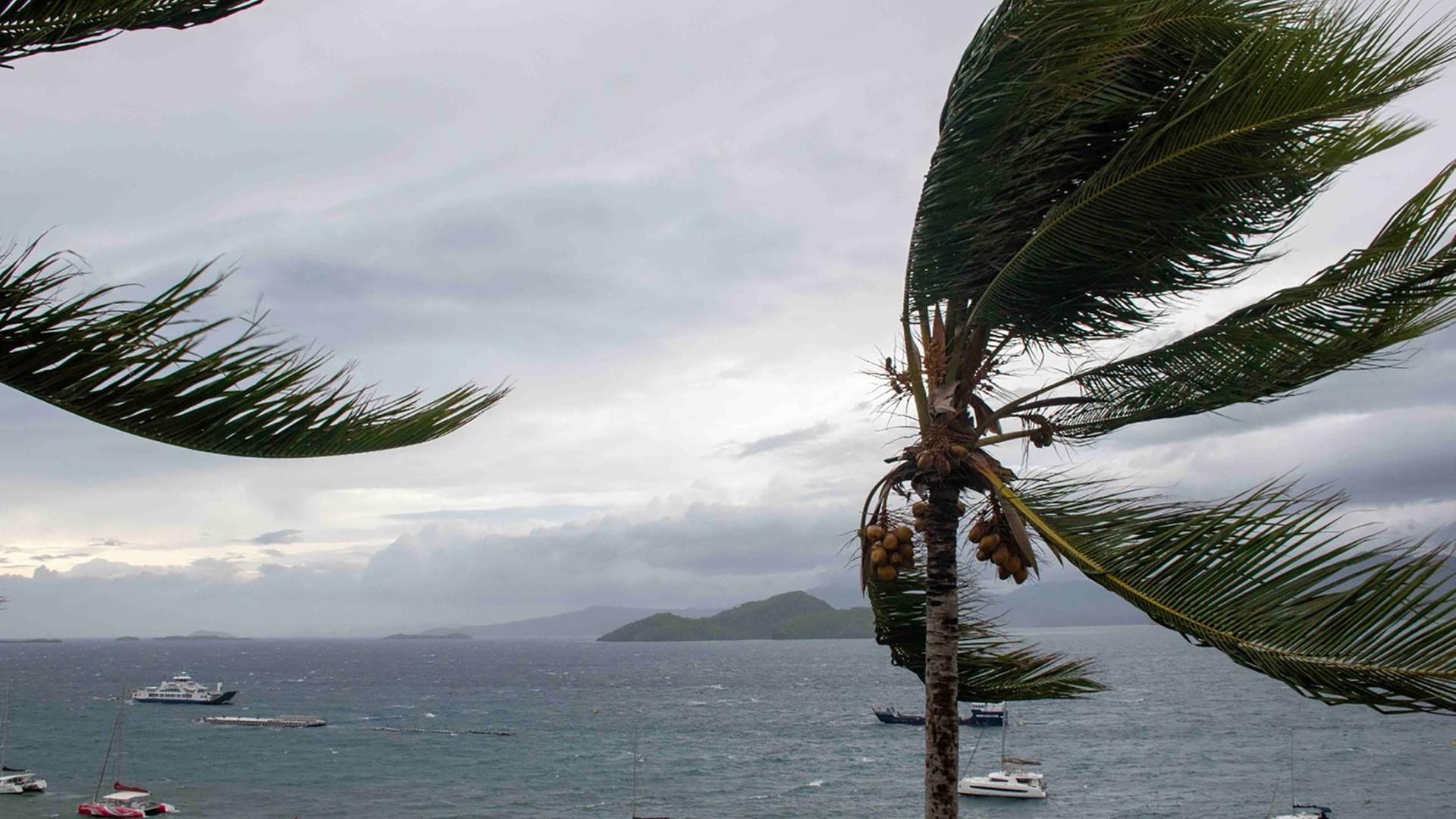 A handout photo made available by the French Army on 15 December 2024 shows trees blowing in storm winds in the French overseas territory of Mayotte.